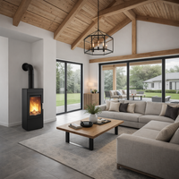 Estufa de leña BLAZE ELEMENT M de diseño contemporáneo
